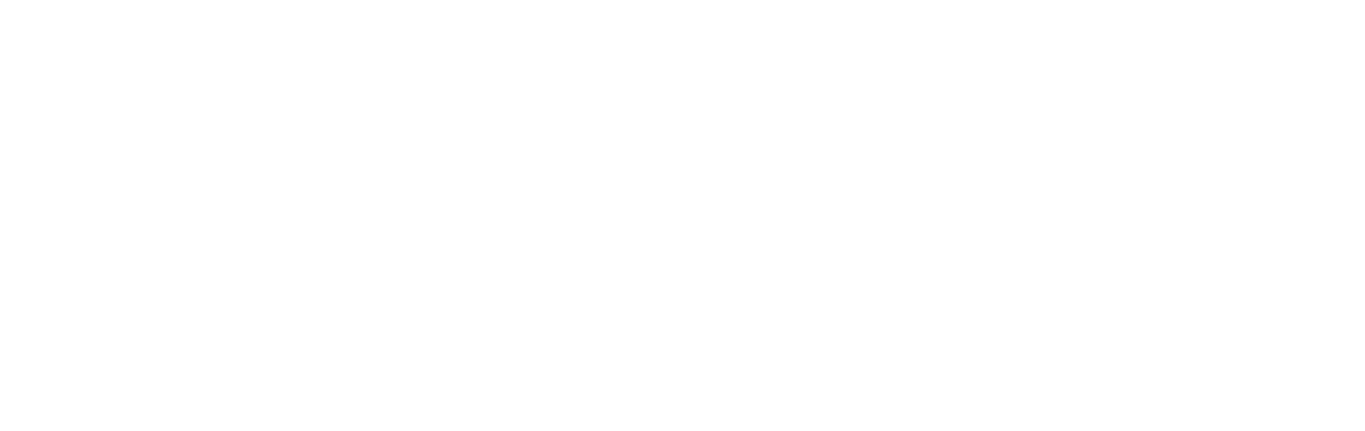 INMERSO